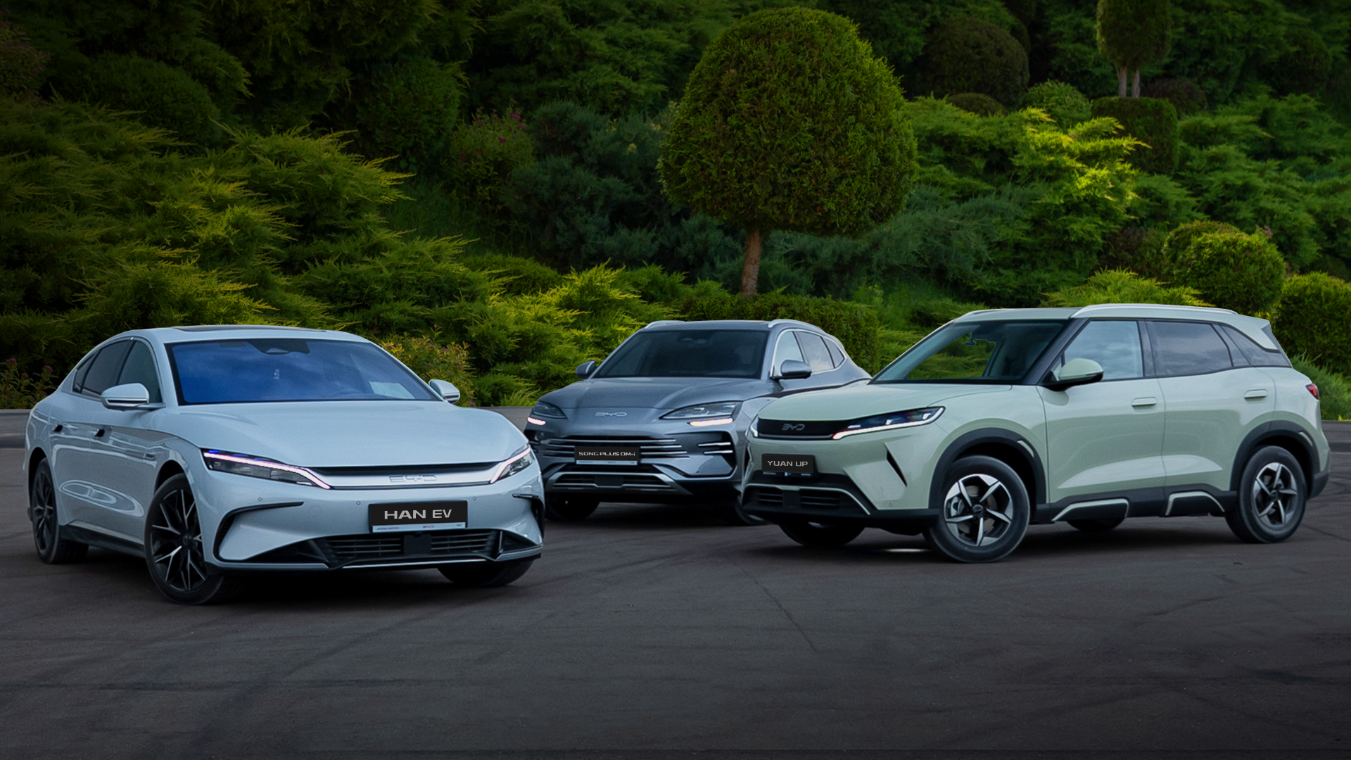 Заряд на максимум